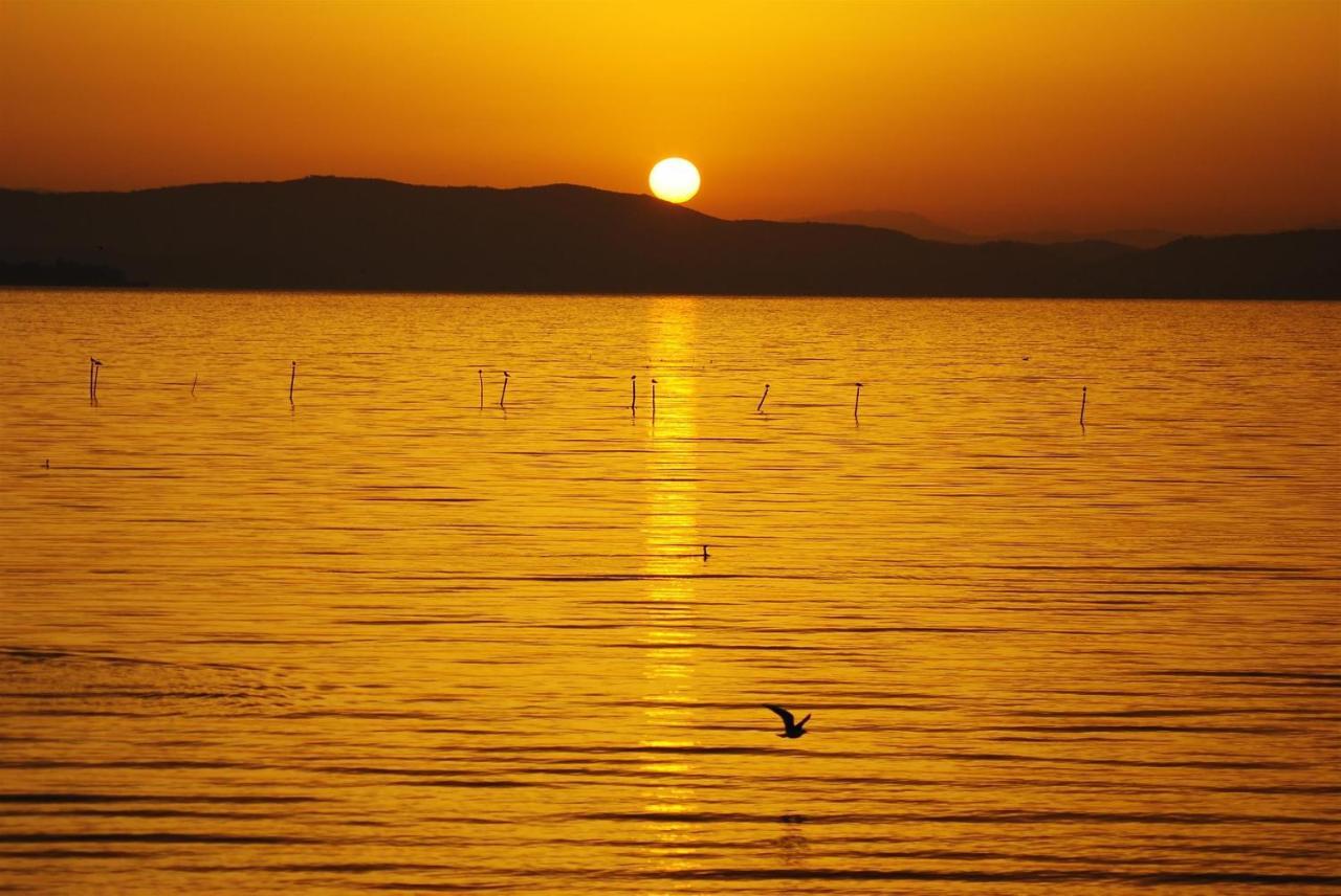 Hotel La Torre Castiglione del Lago Εξωτερικό φωτογραφία